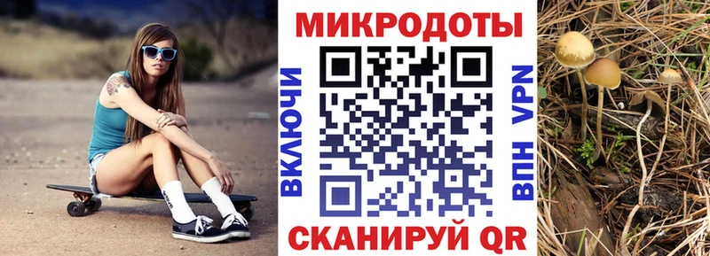 Галлюциногенные грибы MAGIC MUSHROOMS  ссылка на мегу   shop состав  Кохма 