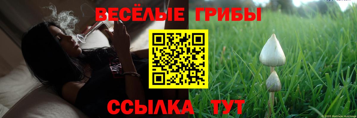 Кохма  Псилоцибиновые грибы Magic Shrooms  Вход с VPN 