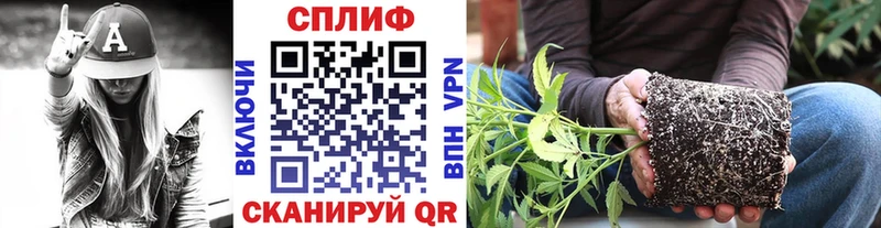 blacksprut ссылки Кохма Каннабис ГИДРОПОН где купить